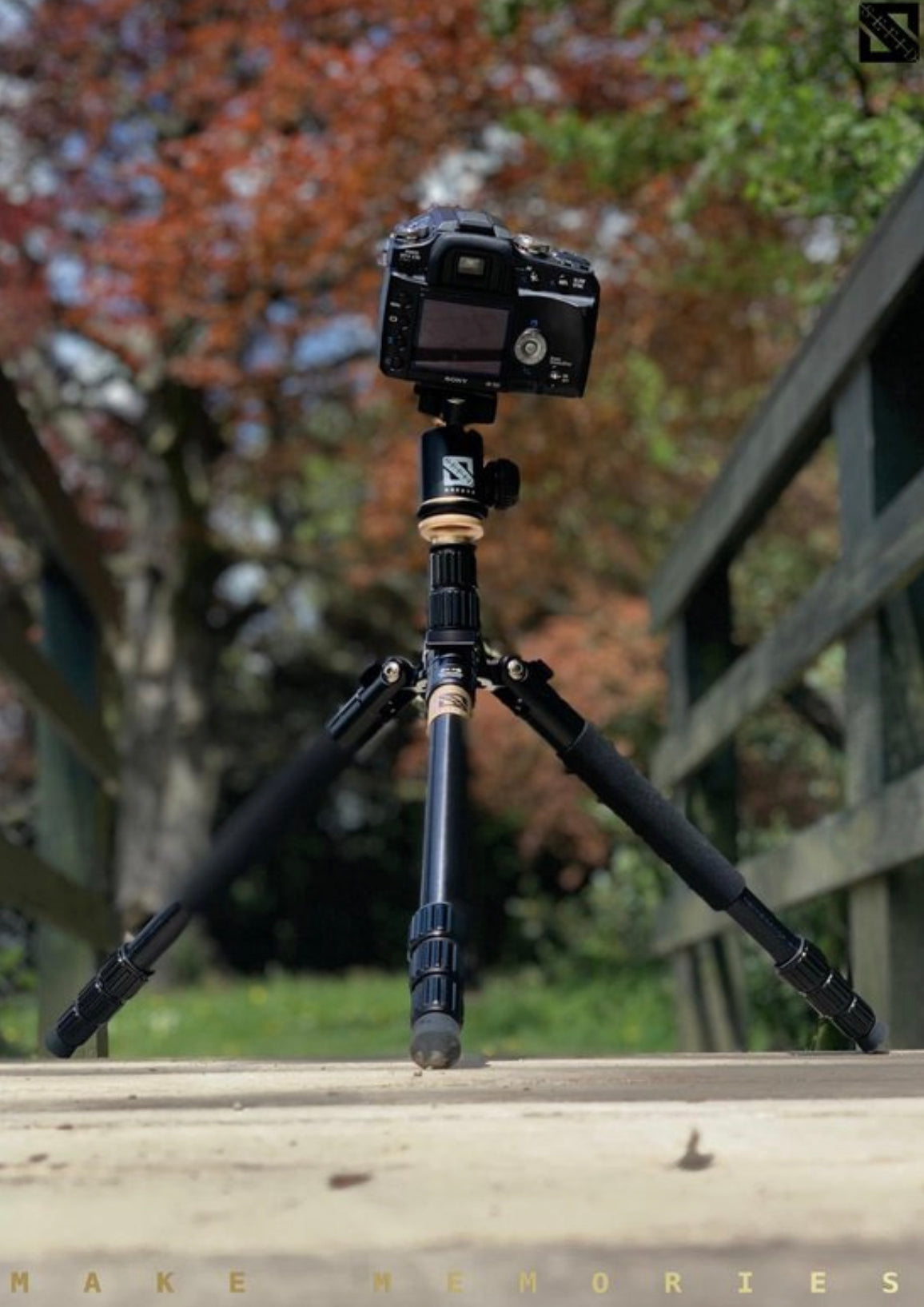 Camera & telefoon statief Maxpod